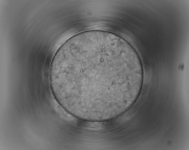 X0000113021338200909171444