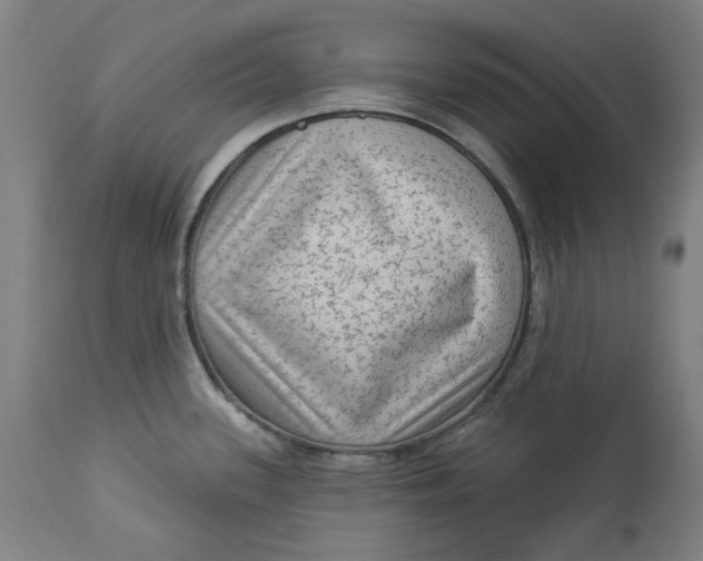 X0000113021339200909171444