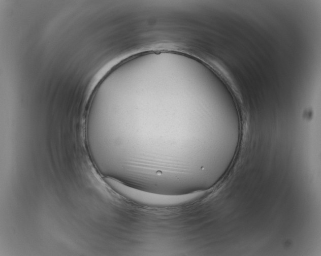 X0000113021340200909171444