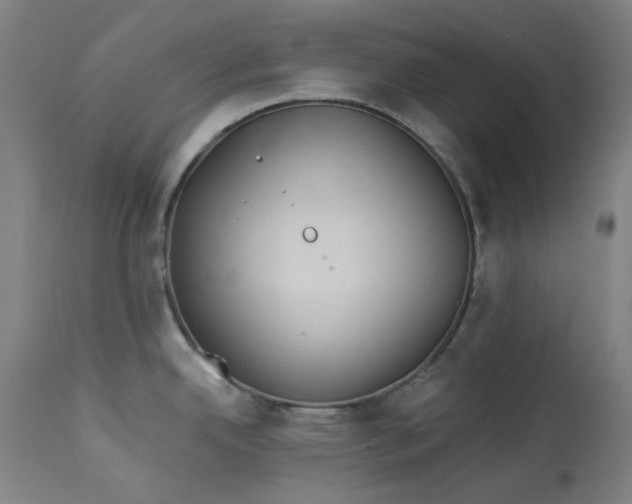 X0000113021342200909171444