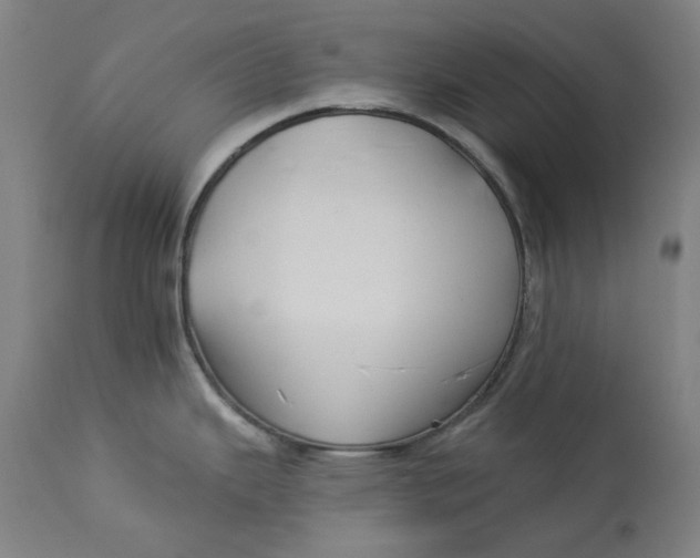 X0000113021343200909171444