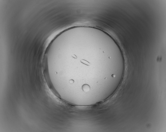 X0000113021344200909171444