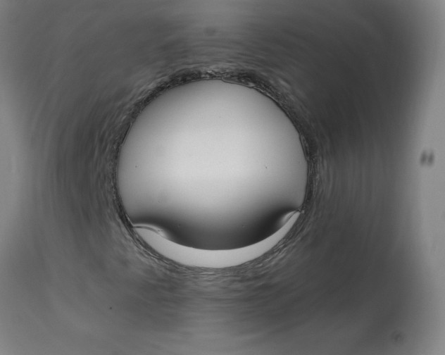 X0000113021345200909171444