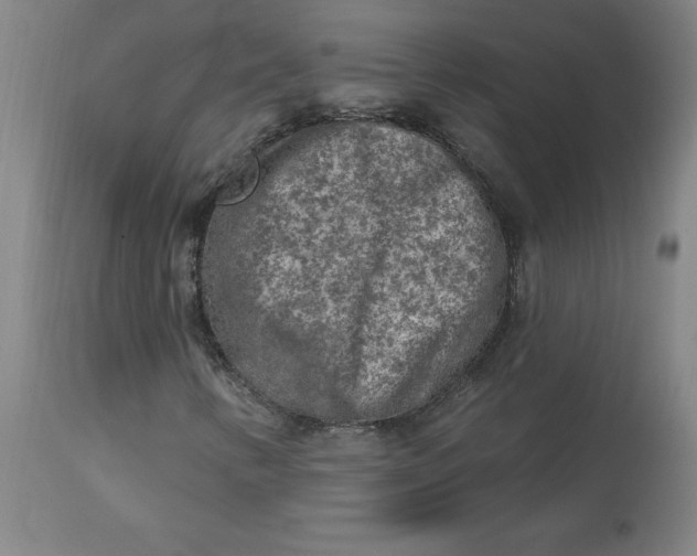 X0000113021346200909171444