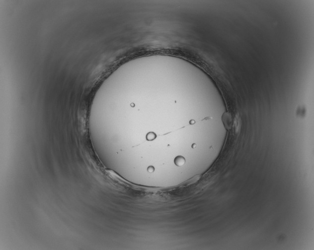 X0000113021348200909171444