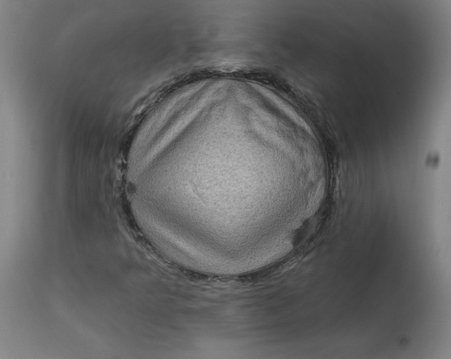 X0000113021349200909171444