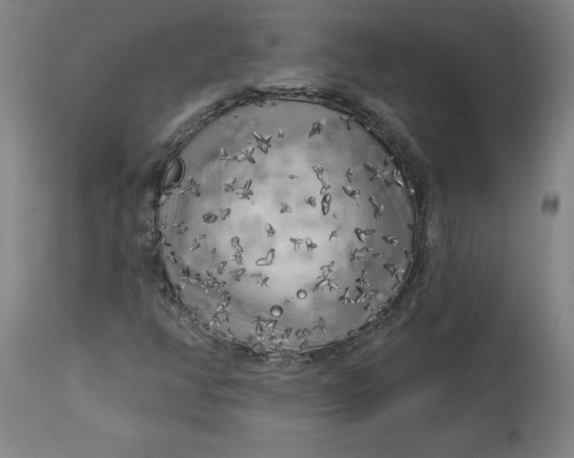 X0000113021350200909171444