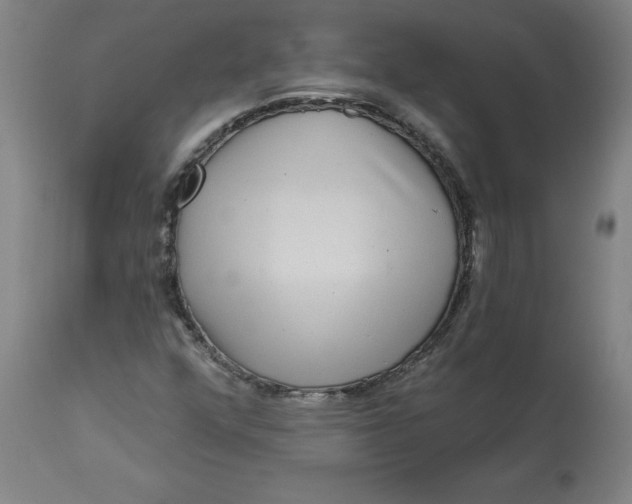 X0000113021352200909171444