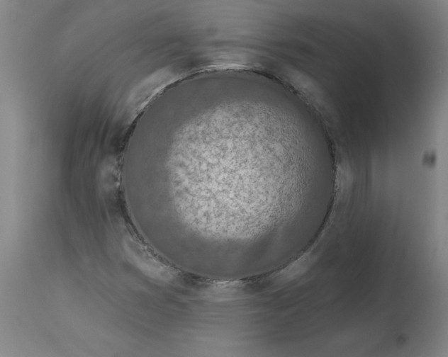 X0000113021353200909171444