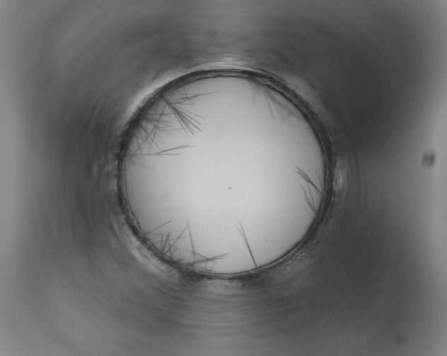 X0000113021356200909171444