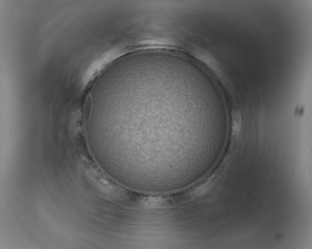 X0000113021357200909171444