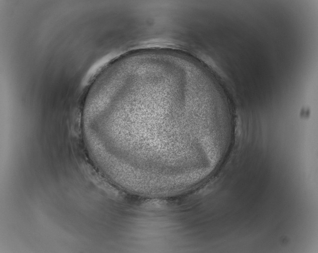 X0000113021358200909171444