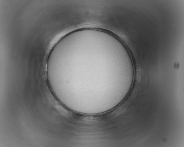 X0000113021366200909171444