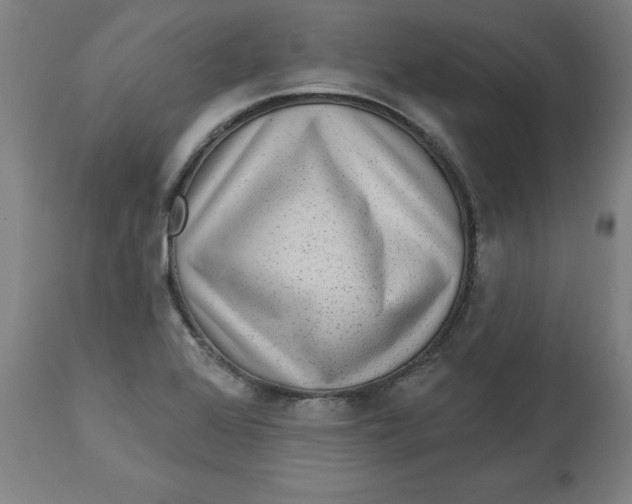 X0000113021368200909171443