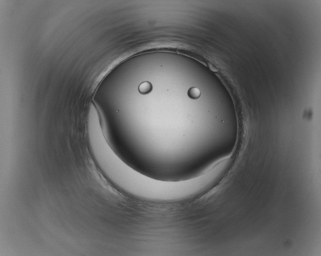 X0000113021369200909171443