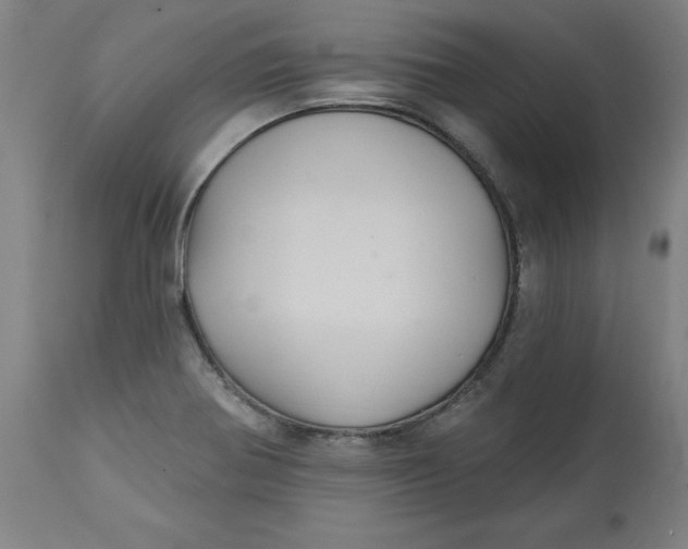 X0000113021370200909171443