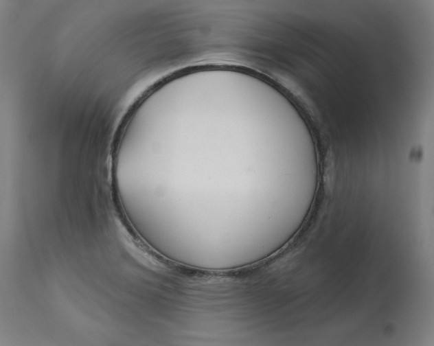 X0000113021372200909171443