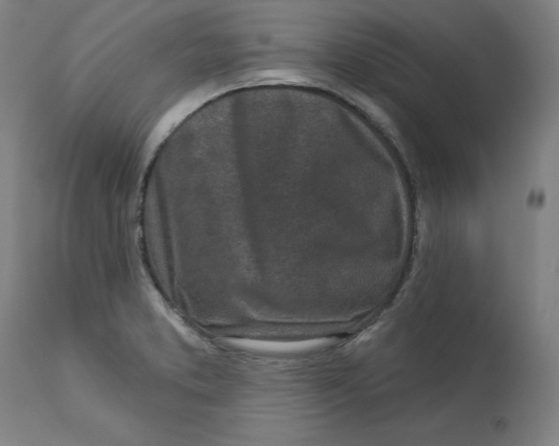 X0000113021373200909171443