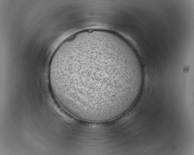 X0000113021375200909171443