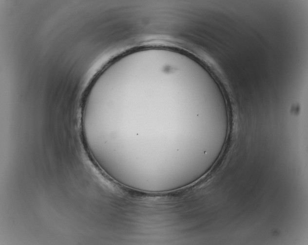 X0000113021376200909171443