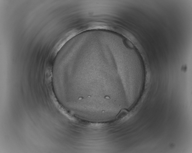 X0000113021377200909171443