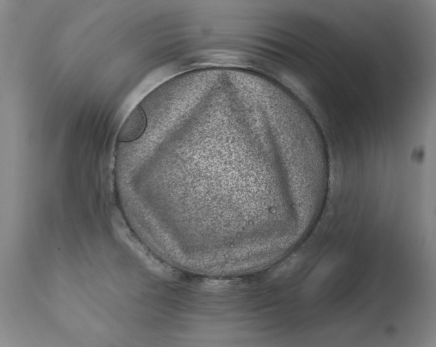 X0000113021378200909171443