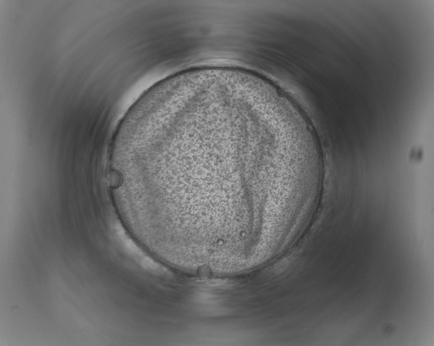 X0000113021382200909171443