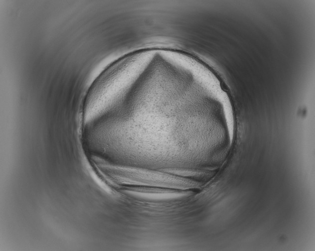 X0000113021383200909171443