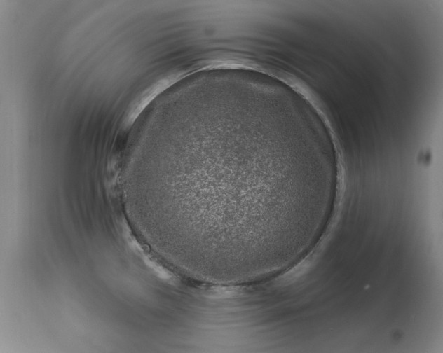 X0000113021385200909171443