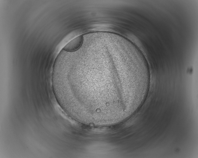 X0000113021386200909171443