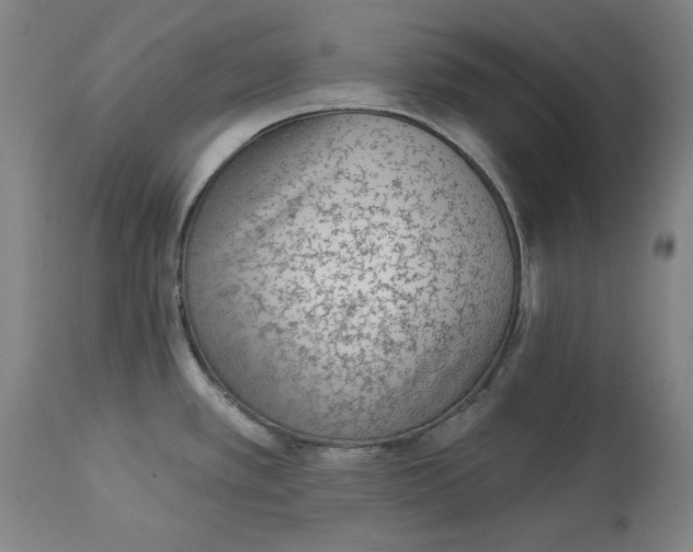 X0000113021389200909171443