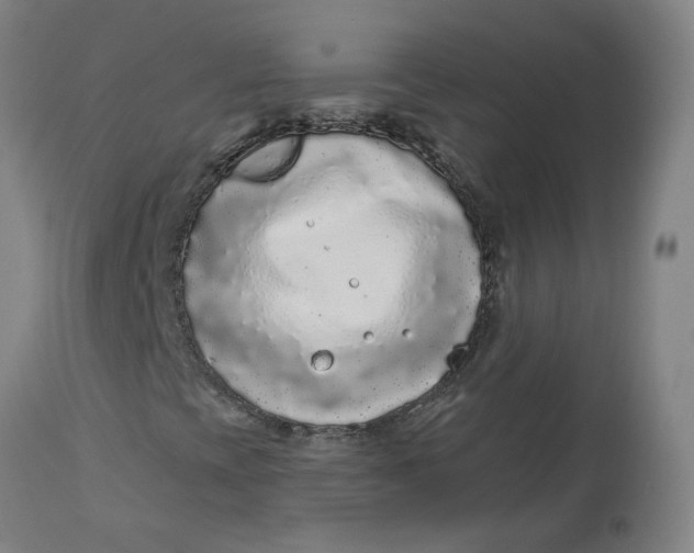 X0000113021393200909171442