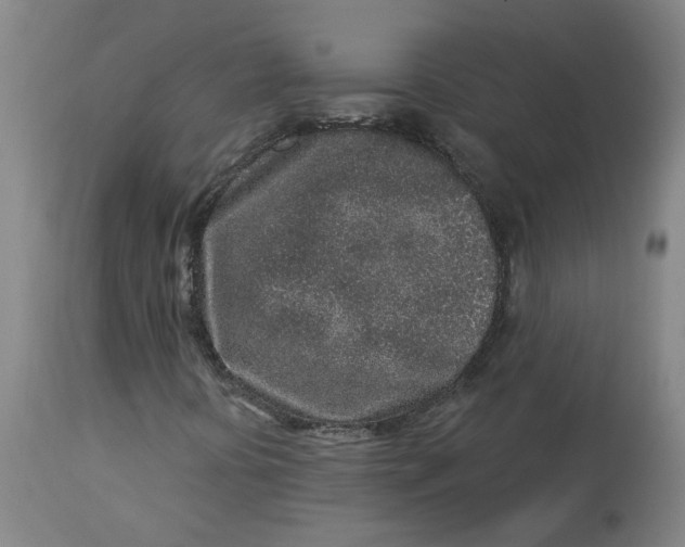 X0000113021394200909171442