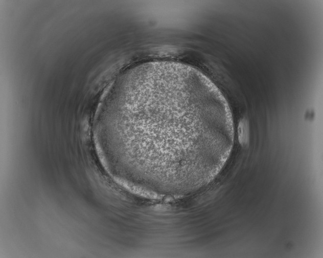 X0000113021395200909171442