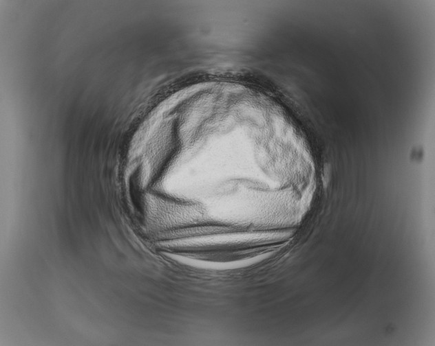 X0000113021396200909171442