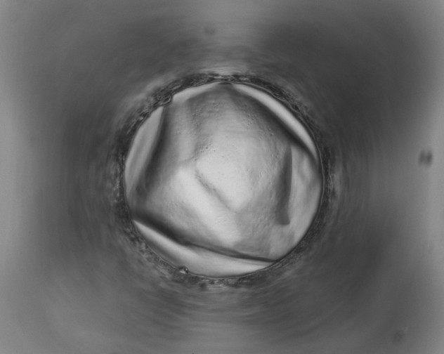 X0000113021398200909171442