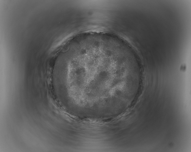 X0000113021399200909171442