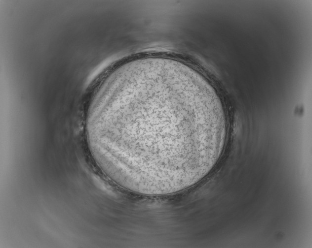 X0000113021400200909171442