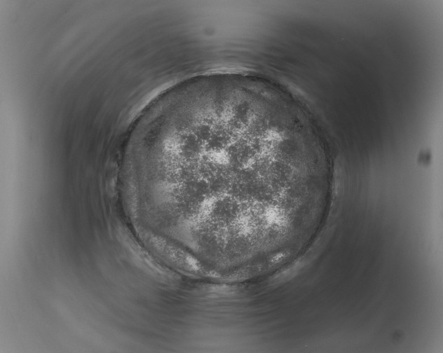 X0000113021401200909171442