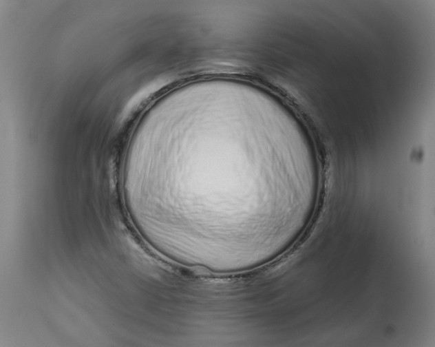 X0000113021402200909171442