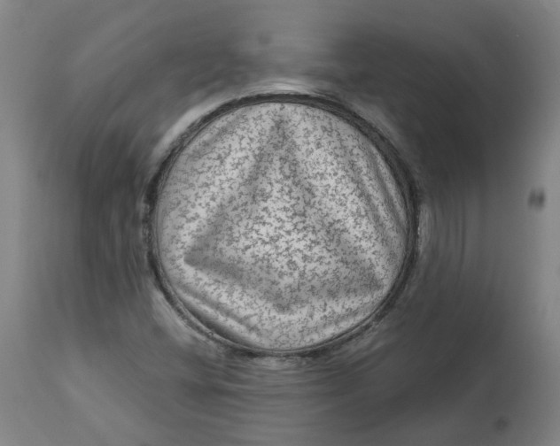 X0000113021404200909171442