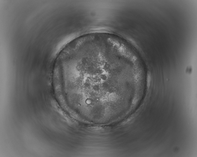 X0000113021405200909171442