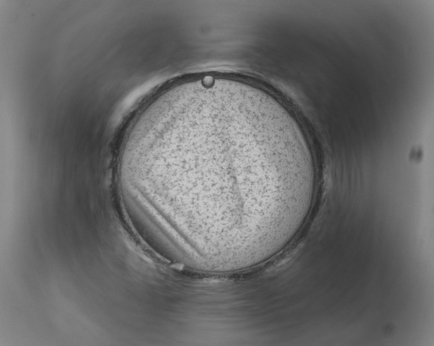 X0000113021406200909171442