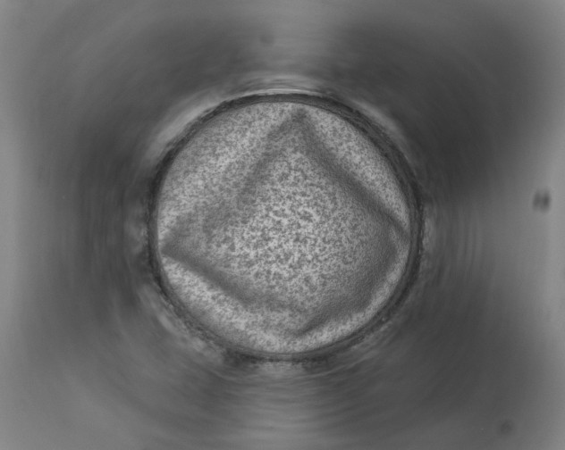 X0000113021407200909171442