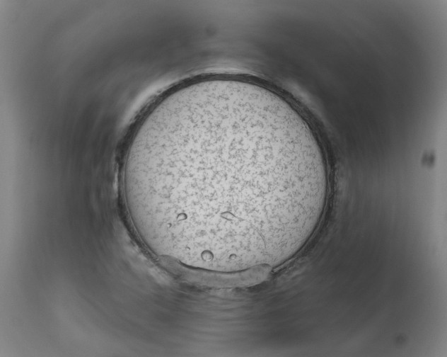 X0000113021408200909171442