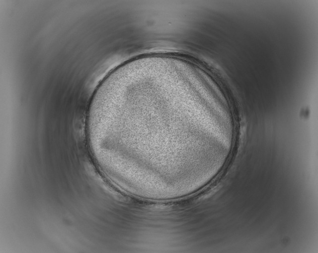 X0000113021409200909171442