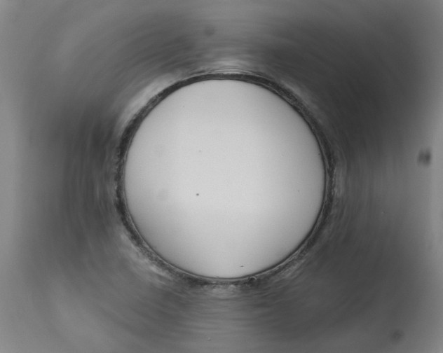 X0000113021410200909171442