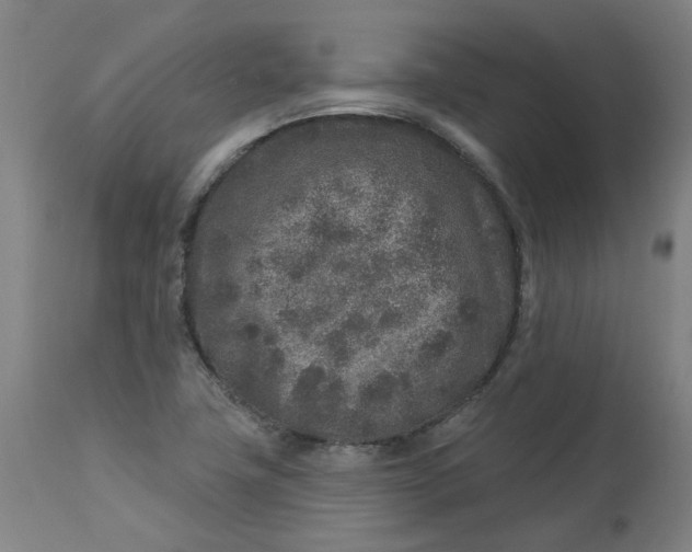 X0000113021411200909171442