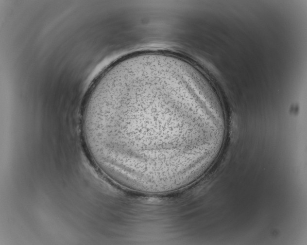 X0000113021412200909171442