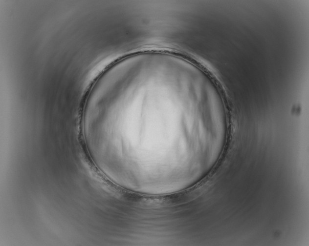 X0000113021415200909171442